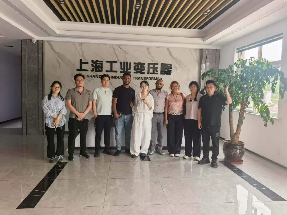 Sugeng rawuh! Delegasi Ethiopia Ngunjungi Shanghai Industrial Transformer Co., Ltd. kanggo Exchange Transformers & Power Distribution Equipment